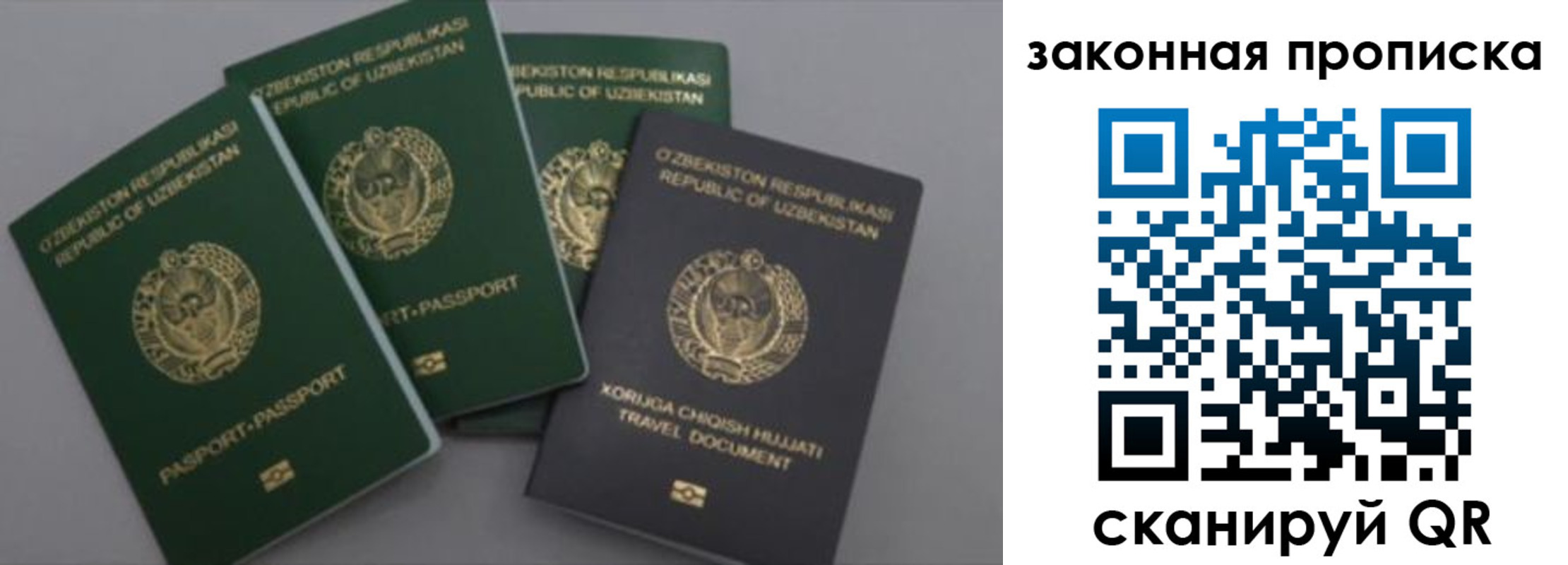 прописка законно в Пензенской области